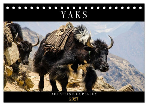 Yaks - auf steinigen Pfaden (Tischkalender 2027 DIN A5 quer), CALVENDO Monatskalender