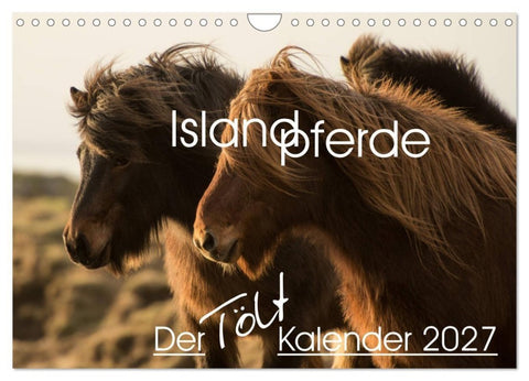 Islandpferde - Der Tölt Kalender (Wandkalender 2027 DIN A4 quer), CALVENDO Monatskalender