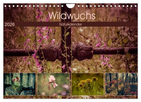 Wildwuchs 2026 (Wandkalender 2026 DIN A4 quer), CALVENDO Monatskalender