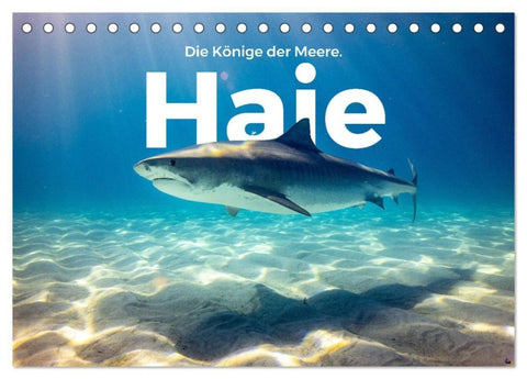 Haie - Könige der Meere. (Tischkalender 2027 DIN A5 quer), CALVENDO Monatskalender