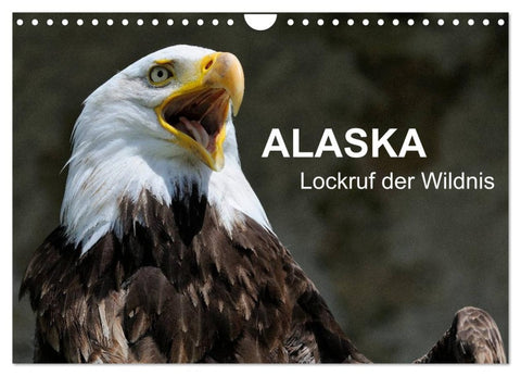 Alaska - Lockruf der Wildnis (Wandkalender 2026 DIN A4 quer), CALVENDO Monatskalender