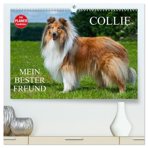 Collie - Mein bester Freund (hochwertiger Premium Wandkalender 2027 DIN A2 quer), Kunstdruck in Hochglanz