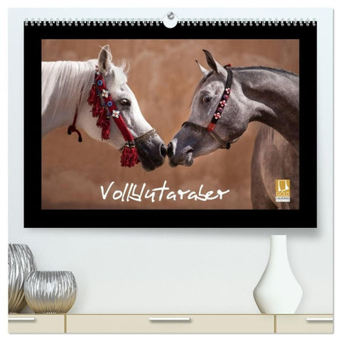Vollblutaraber (hochwertiger Premium Wandkalender 2027 DIN A2 quer), Kunstdruck in Hochglanz