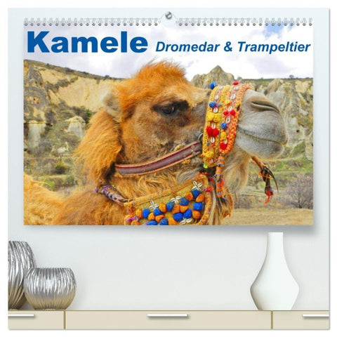 Kamele ¿ Dromedar & Trampeltier (hochwertiger Premium Wandkalender 2026 DIN A2 quer), Kunstdruck in Hochglanz