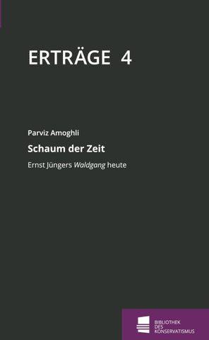Schaum der Zeit