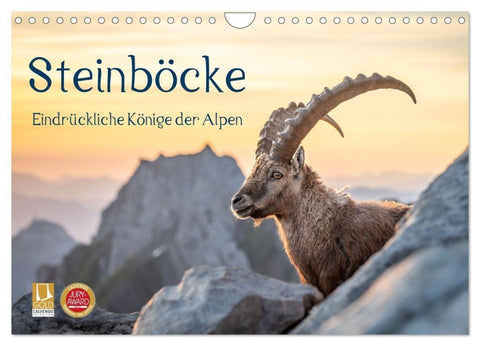 Steinböcke - Eindrückliche Könige der Alpen (Wandkalender 2027 DIN A4 quer), CALVENDO Monatskalender