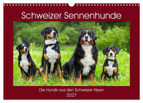 Schweizer Sennenhunde - die Hunde aus den Schweizer Alpen (Wandkalender 2027 DIN A3 quer), CALVENDO Monatskalender