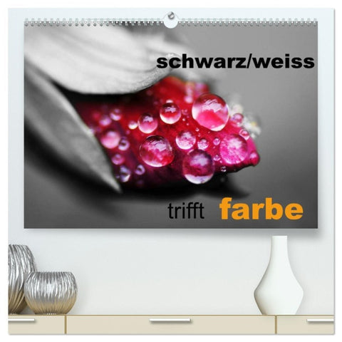schwarz/weiß trifft farbe (hochwertiger Premium Wandkalender 2026 DIN A2 quer), Kunstdruck in Hochglanz