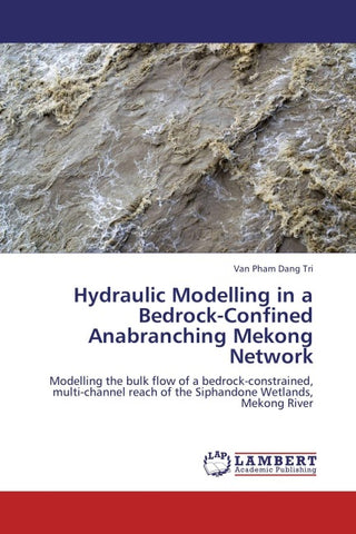 Hydraulic Modelling in a Bedrock-Confined Anabranching Mekong Network