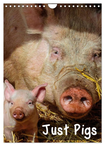 Just Pigs (Wall Calendar 2026 DIN A4 portrait), CALVENDO 12 Month Wall Calendar