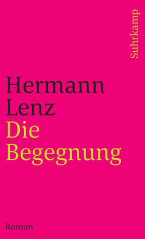 Die Begegnung