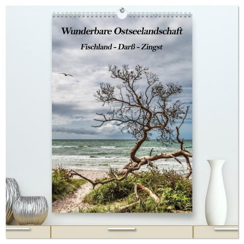 Wunderbare Ostseelandschaft Fischland-Darß-Zingst (hochwertiger Premium Wandkalender 2027 DIN A2 hoch), Kunstdruck in Hochglanz