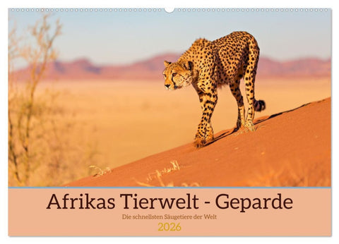 Afrikas Tierwelt - Geparde (Wandkalender 2026 DIN A2 quer), CALVENDO Monatskalender