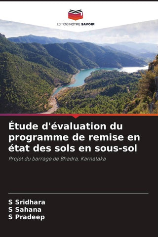 Étude d'évaluation du programme de remise en état des sols en sous-sol