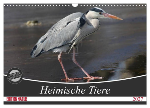 Heimische Tiere (Wandkalender 2027 DIN A3 quer), CALVENDO Monatskalender