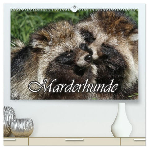 Marderhunde (hochwertiger Premium Wandkalender 2026 DIN A2 quer), Kunstdruck in Hochglanz