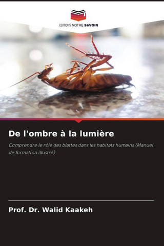 De l'ombre à la lumière