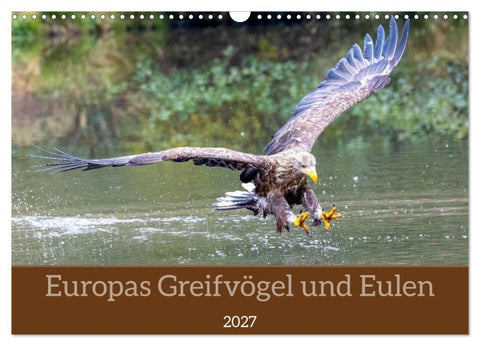 Europas Greifvögel und Eulen (Wandkalender 2027 DIN A3 quer), CALVENDO Monatskalender