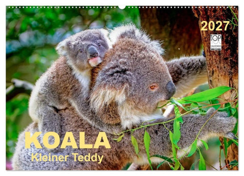 Koala - kleiner Teddy (Wandkalender 2027 DIN A2 quer), CALVENDO Monatskalender
