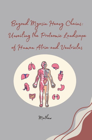 Beyond Myosin Heavy Chains: Unveiling the Proteomic Landscape of Human Atria and Ventricles