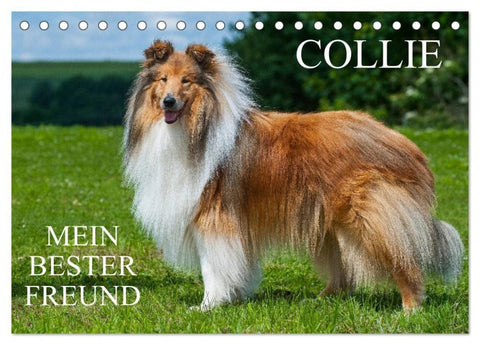 Collie - Mein bester Freund (Tischkalender 2027 DIN A5 quer), CALVENDO Monatskalender
