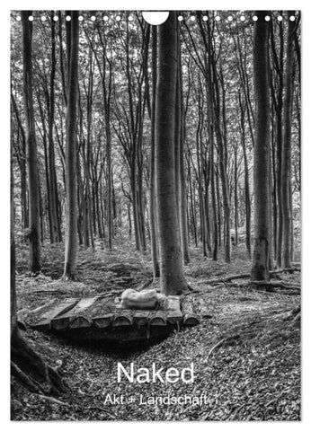 Naked: Akt + Landschaft (Wandkalender 2027 DIN A4 hoch), CALVENDO Monatskalender