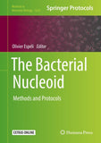 The Bacterial Nucleoid
