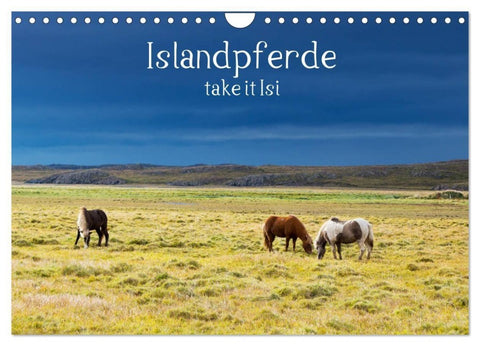 Islandpferde take it Isi (Wandkalender 2027 DIN A4 quer), CALVENDO Monatskalender