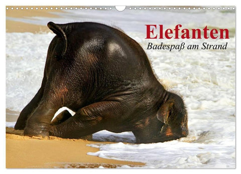 Elefanten. Badespaß am Strand (Wandkalender 2027 DIN A3 quer), CALVENDO Monatskalender