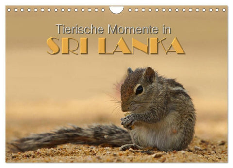 Sri Lanka - Tierische Momente (Wandkalender 2027 DIN A4 quer), CALVENDO Monatskalender