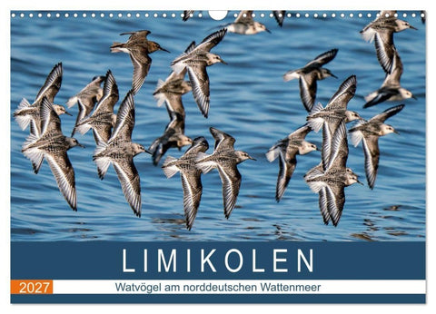 Limikolen - Watvögel am norddeutschen Wattenmeer (Wandkalender 2027 DIN A3 quer), CALVENDO Monatskalender