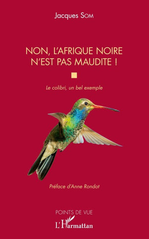 Non, l'Afrique noire n'est pas maudite