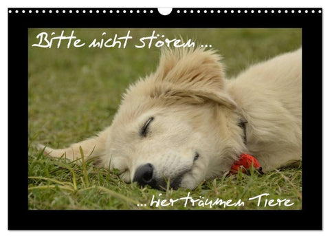 Bitte nicht stören... hier träumen Tiere (Wandkalender 2026 DIN A3 quer), CALVENDO Monatskalender