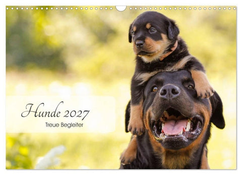 Hunde 2027 - Treue Begleiter (Wandkalender 2027 DIN A3 quer), CALVENDO Monatskalender