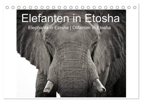 Elefanten in Etosha (Tischkalender 2027 DIN A5 quer), CALVENDO Monatskalender