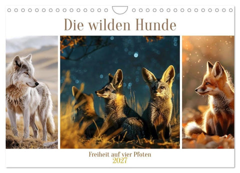 Die wilden Hunde (Wandkalender 2027 DIN A4 quer), CALVENDO Monatskalender