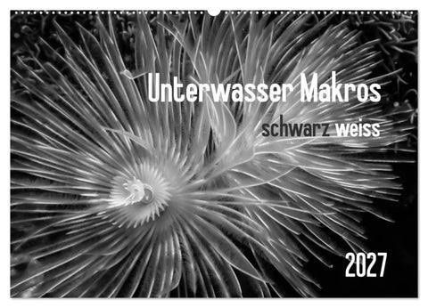 Unterwasser Makros - schwarz weiss 2027 (Wandkalender 2027 DIN A2 quer), CALVENDO Monatskalender