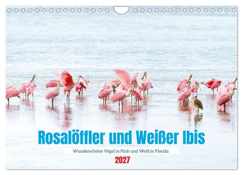 Rosalöffler und weißer Ibis (Wandkalender 2027 DIN A4 quer), CALVENDO Monatskalender