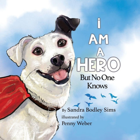 I Am A Hero But No One Knows