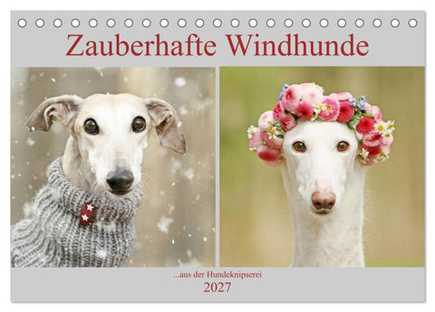 Zauberhafte Windhunde (Tischkalender 2027 DIN A5 quer), CALVENDO Monatskalender