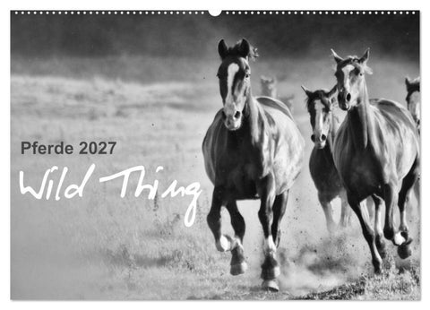 Pferde 2027 Wild Thing (Wandkalender 2027 DIN A2 quer), CALVENDO Monatskalender
