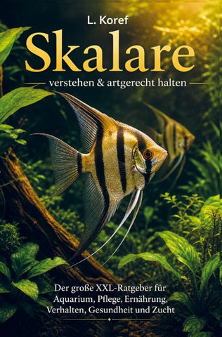 Skalare verstehen & artgerecht halten