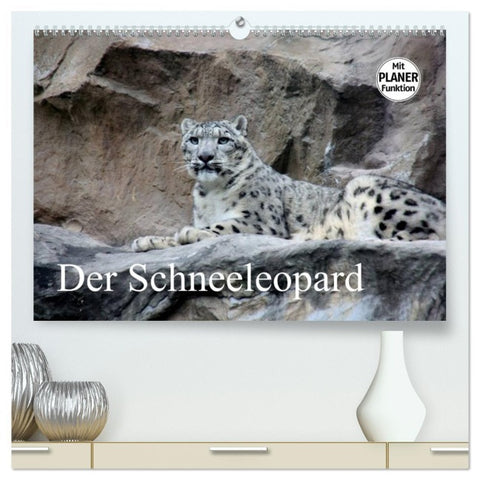 Der Schneeleopard (hochwertiger Premium Wandkalender 2026 DIN A2 quer), Kunstdruck in Hochglanz