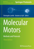 Molecular Motors