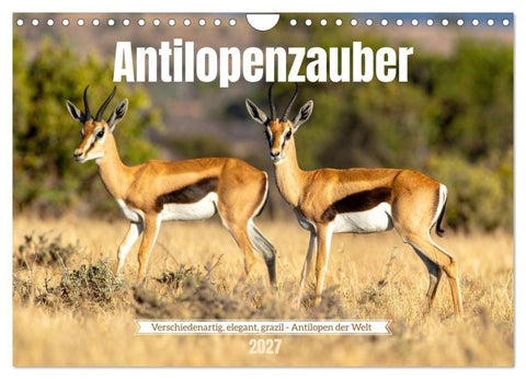 Antilopenzauber (Wandkalender 2027 DIN A4 quer), CALVENDO Monatskalender