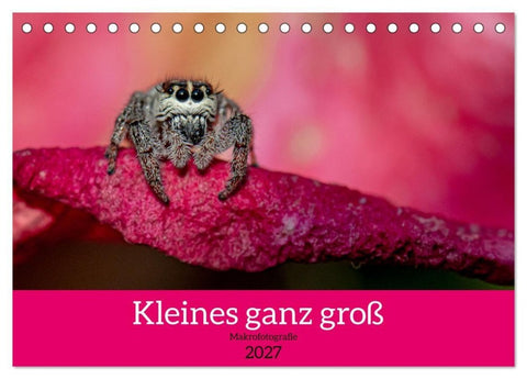 Kleines ganz groß - Makrofotografie (Tischkalender 2027 DIN A5 quer), CALVENDO Monatskalender