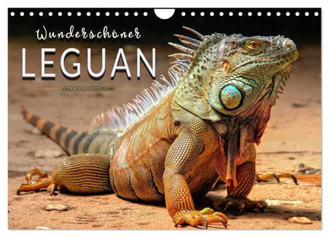 Wunderschöner Leguan (Wandkalender 2027 DIN A4 quer), CALVENDO Monatskalender