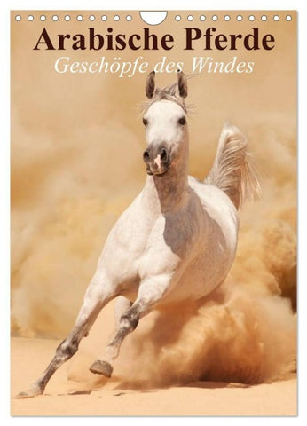 Arabische Pferde ¿ Geschöpfe des Windes (Wandkalender 2027 DIN A4 hoch), CALVENDO Monatskalender