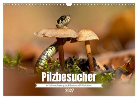 Pilzbesucher (Wandkalender 2027 DIN A3 quer), CALVENDO Monatskalender