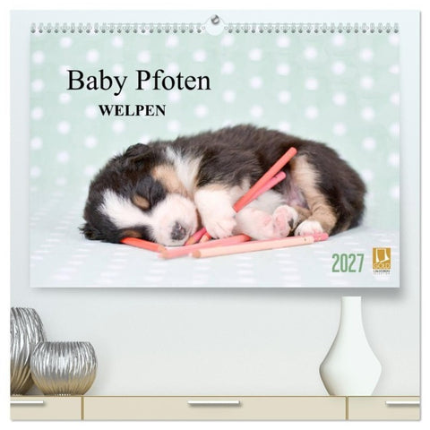 Baby Pfoten (hochwertiger Premium Wandkalender 2027 DIN A2 quer), Kunstdruck in Hochglanz